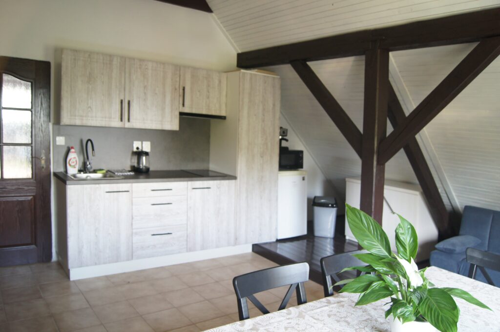 podkrovní apartmán kuchyně